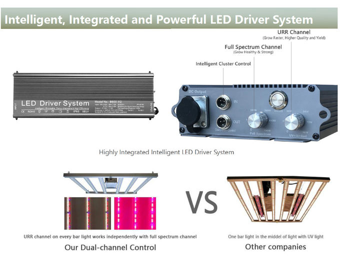 640W LED élèvent le plein spectre des lumières 2.9umol/J mené pour se développer légers pour les usines d'intérieur 0