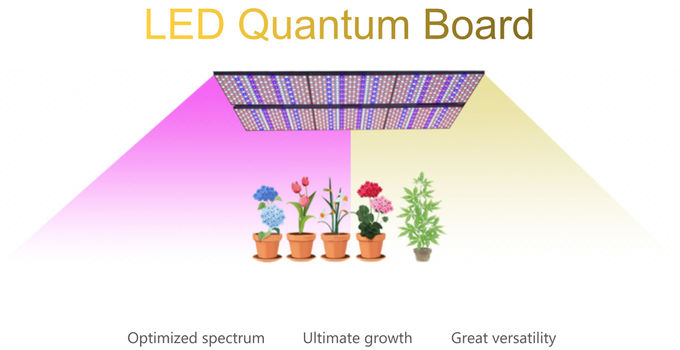 LED Quantum Growlights blanc chaud 480pcs Chips Lm 301b mené se développent légère pour l'usine d'intérieur 0