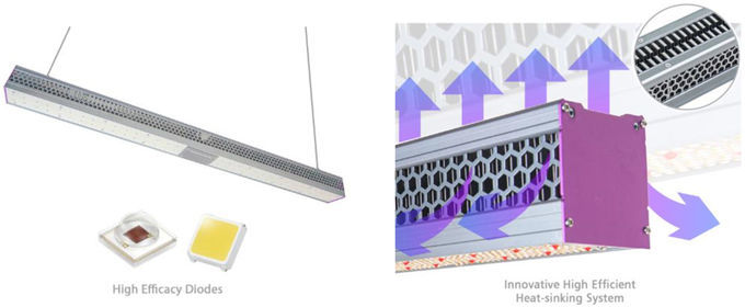 La serre chaude LED élèvent des lumières efficaces et l'usine Ip65 d'intérieur commerciale puissante menée élèvent 0