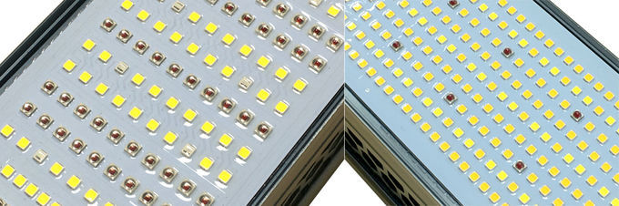 La serre chaude LED élèvent des lumières efficaces et l'usine Ip65 d'intérieur commerciale puissante menée élèvent 1