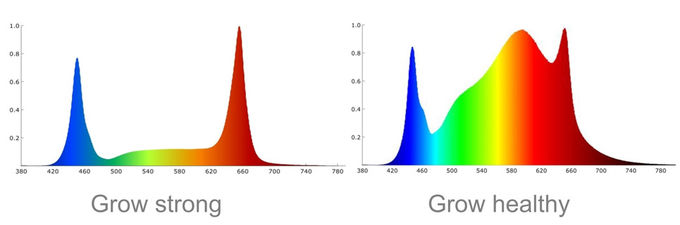 LED Quantum embarque le plein spectre mené se développent légère pour la verticale d'usine d'intérieur cultivant 0